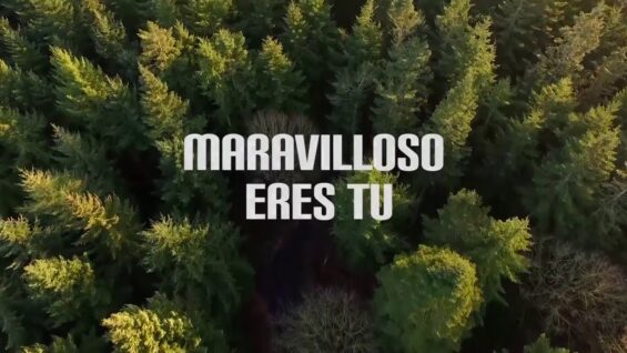 Maravilloso eres tu // Grupo Misión