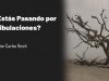 ¿Estás pasando por tribulaciones? – Este mensaje es para ti // Reflexión