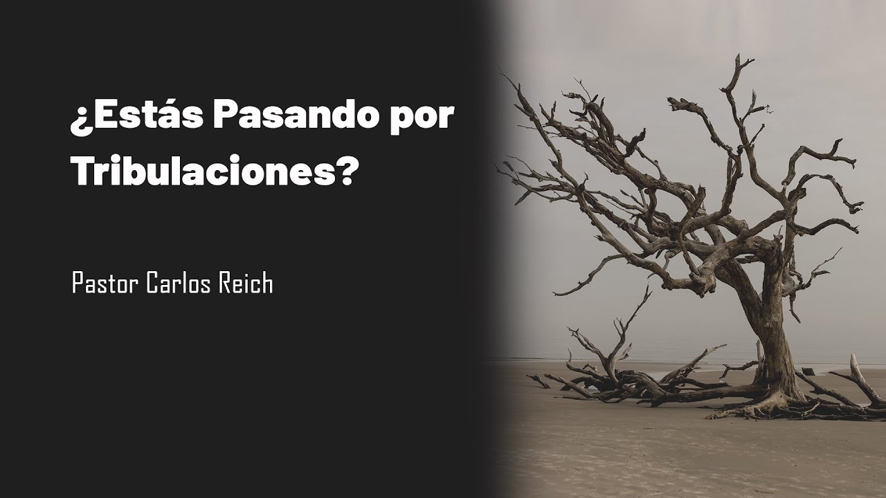 ¿Estás pasando por tribulaciones? – Este mensaje es para ti // Reflexión