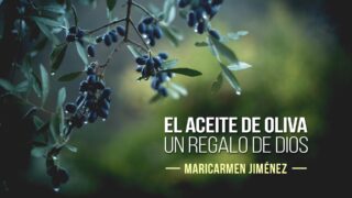 aceite de oliva