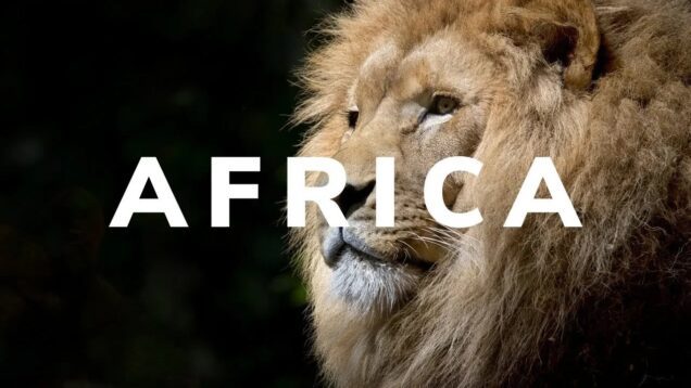 Cuentos – Africa