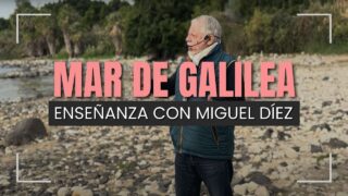 Los Panes y los Peces – Reflexión desde Mar de Galilea