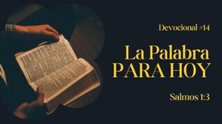 La Palabra para Hoy – Salmos 1:3