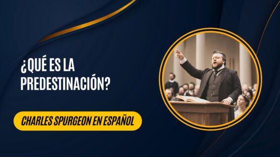 ¿Qué es la predestinaciónn