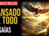 Isaías: No tengo fuerzas para continuar | Personajes Bíblicos