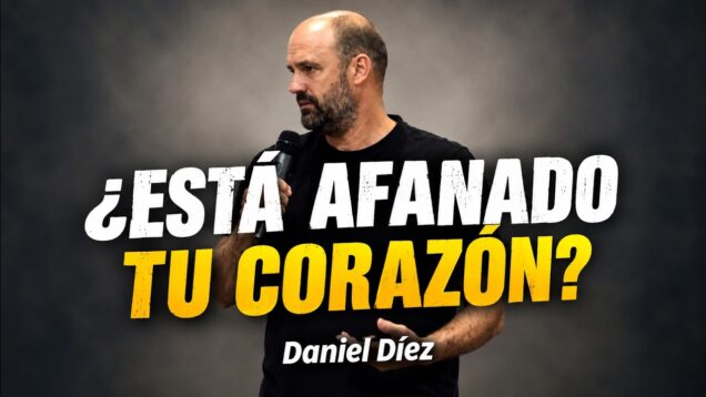 No te afanes: Dios sabe lo que necesitas