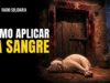 Cómo aplicar la sangre de Jesús por fe en nuestra vida cotidiana